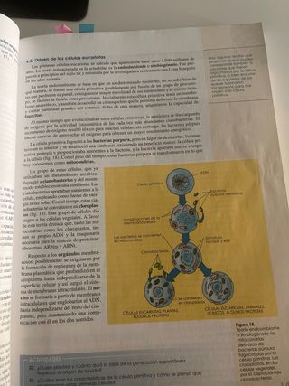 Biología 2º Bachillerato
