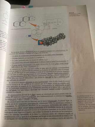 Biología 2º Bachillerato