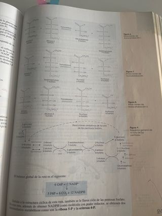 Biología 2º Bachillerato