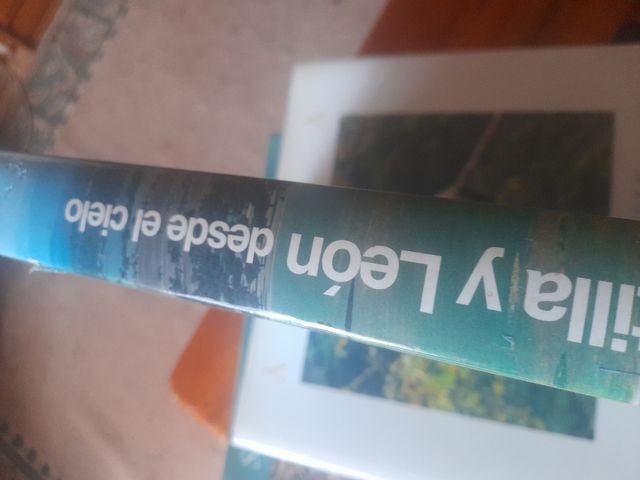 Castilla y León desde el cielo (España desde el cielo) (Spanish Edition)