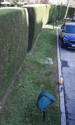 JARDINERO PROFESIONAL 