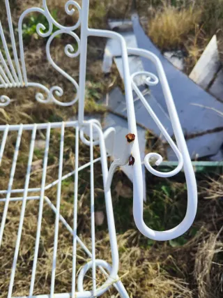 4 Sillas metal antiguas