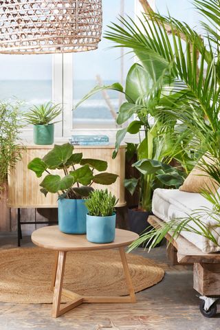 Elho vaso 22 cm The Ocean collection blu