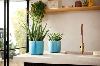 Elho vaso 22 cm The Ocean collection blu