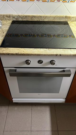 Instalador tecnico horno vitroceramica induccion
