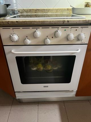 Instalador tecnico horno vitroceramica induccion