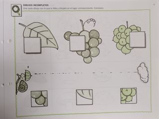 Carpetas de Lógica y conceptos+ atención y memoria