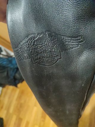 Cazadora cuero Harley davidson