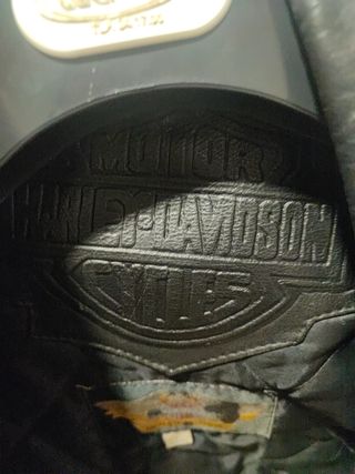 Cazadora cuero Harley davidson