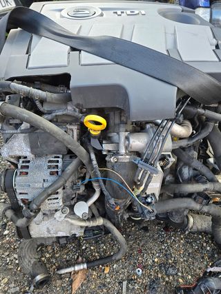Motor 1.6 tdi CAYB seat volskwagen