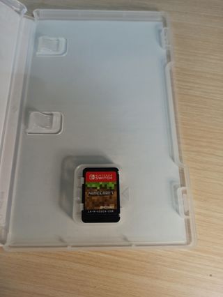 Minecraft - Nintendo switch