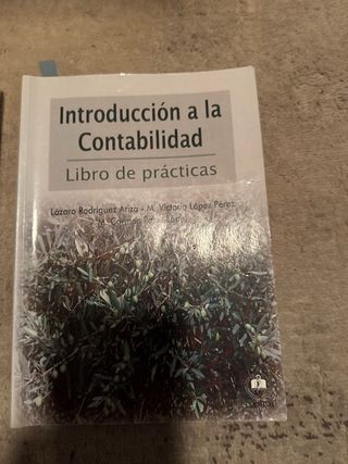 Introducción a la Contabilidad: Manual de Teoría