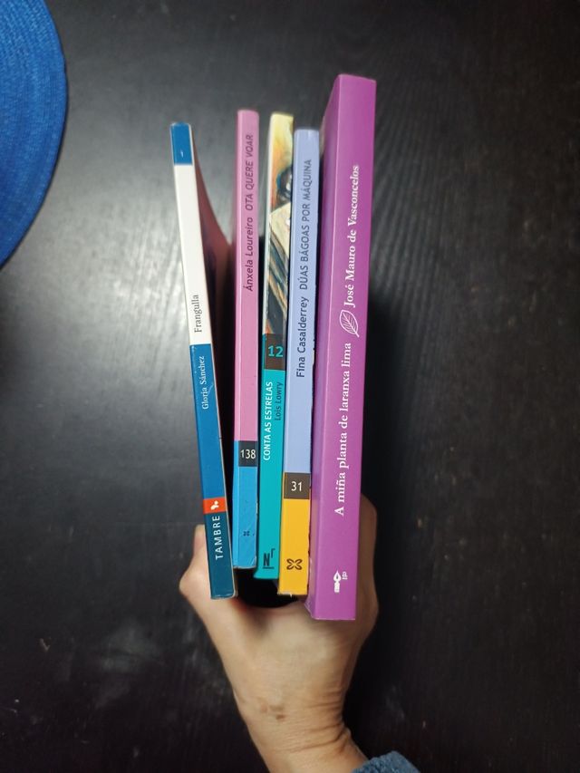 A miña planta de laranxa lima (Galician Edition)