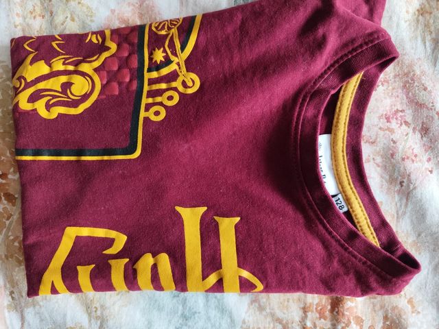 Camiseta niño Harry Potter