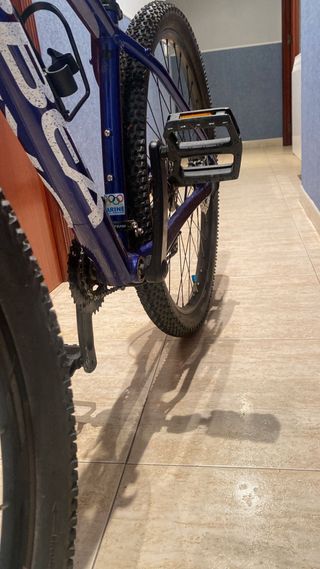 Bicicleta