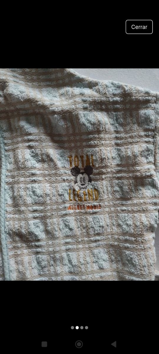 Albornoz niño de Disney