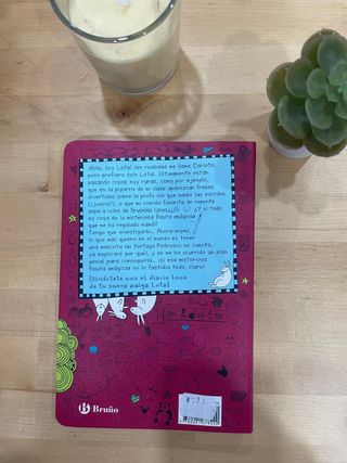Libros "Las cosas de Lota"