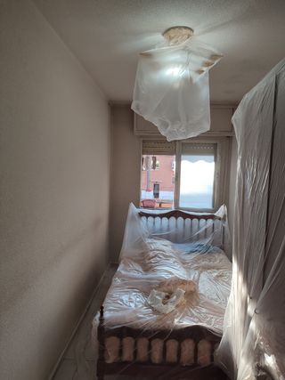 Pintor y Reforma en general