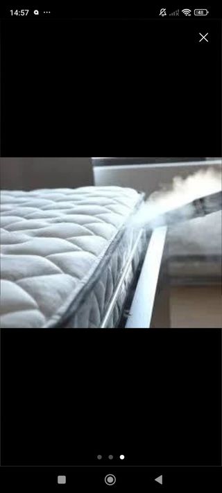 Limpieza desinfección de alfombras y sofás