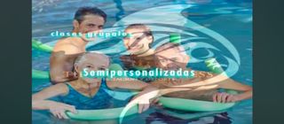 Coach trainning manager