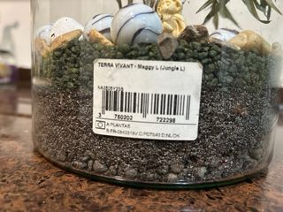 Invernadero terrario plantas