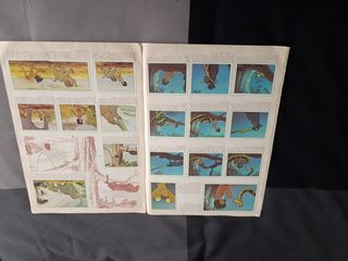 Álbum El libro de la selva