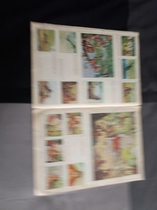 Álbum El libro de la selva