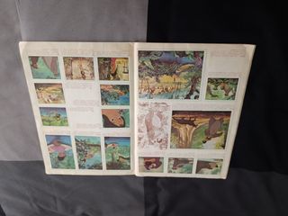Álbum El libro de la selva