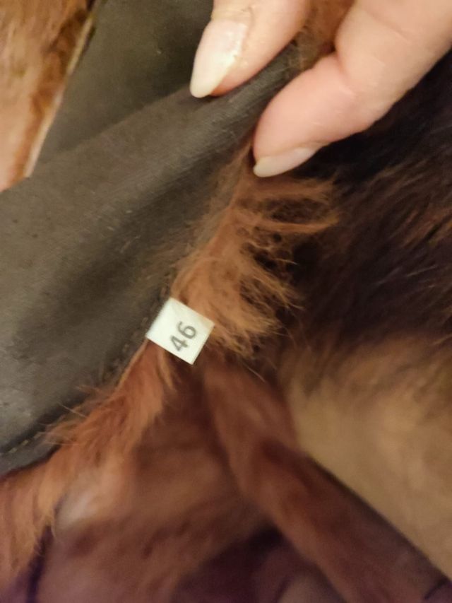 Sherling tg 46 vera pelle