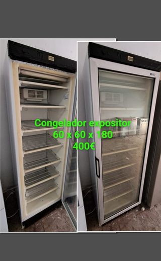 631213000 congelador industrial vertical 