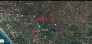 Terreno nel Salento per Agriturismo