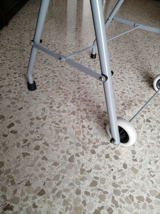 Caminador adultos 