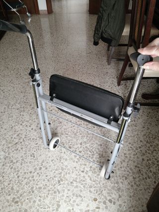 Caminador adultos 