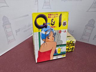 Manga para adultos Q I. 5 tomos en japonés