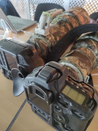 Canon 1DX