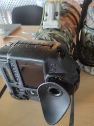 Canon 1DX