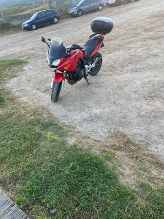 Honda cbf600s
