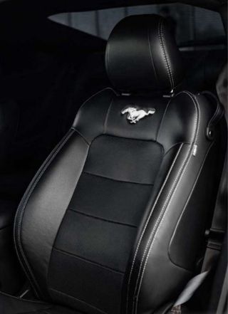 Ford Mustang Fastback GT500 5.0 V8 55º Aniversario