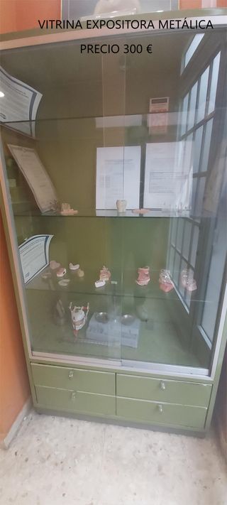 Vitrina expositora metalica