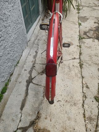 Bicicletta da Donna, Caprice