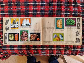 Lote 3 album Anim Zoología España