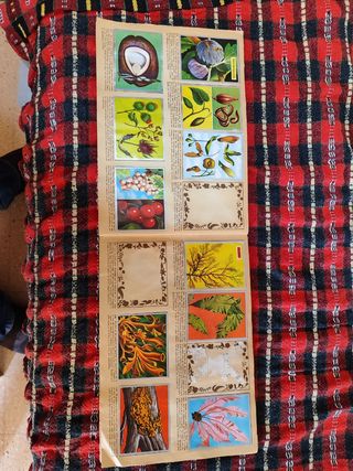 Lote 3 album Anim Zoología España