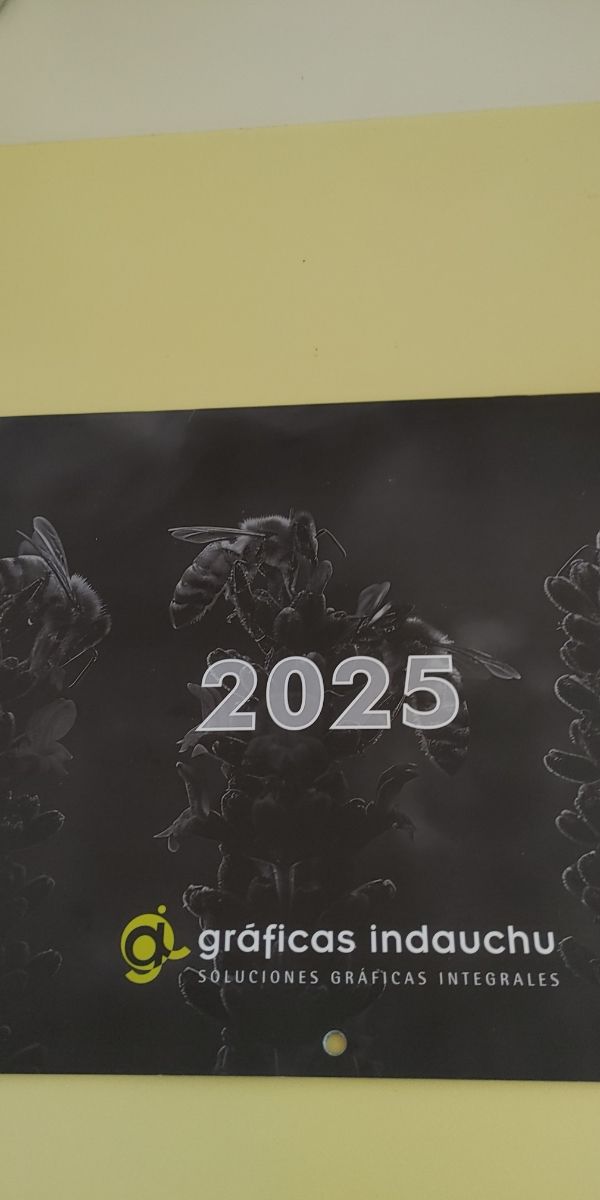 CUADRO ATHLETIC CLUB BILBAO CAMPEÓN