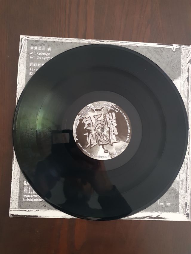 Vinilo A.i.d.s. bubonik