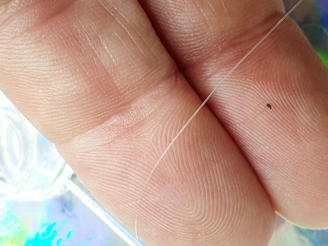 HILOS, NYLON, AWA SHIMA, FLUOROCARBONO 