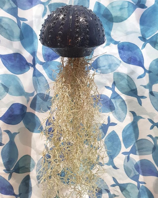 Vaso in ceramica per tillandsia