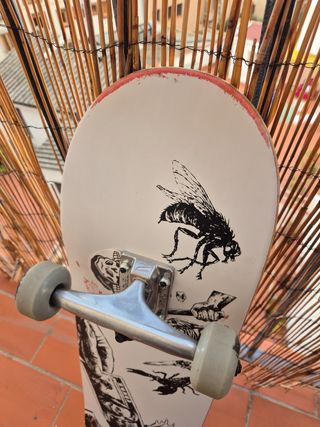 Skate completo Globe
