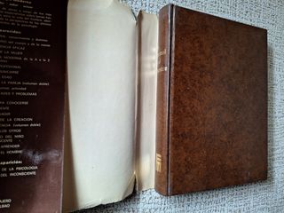 ANIMAL Y EL HOMBRE, EL (Spanish Edition)