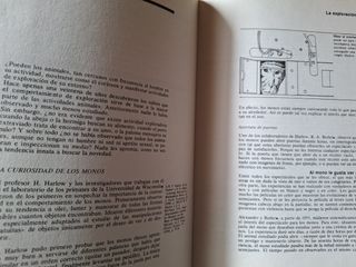 ANIMAL Y EL HOMBRE, EL (Spanish Edition)