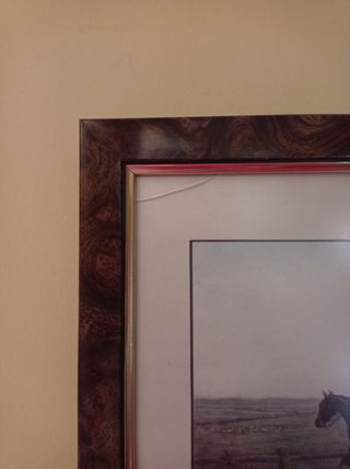 Cuadros de litografía inglesa.